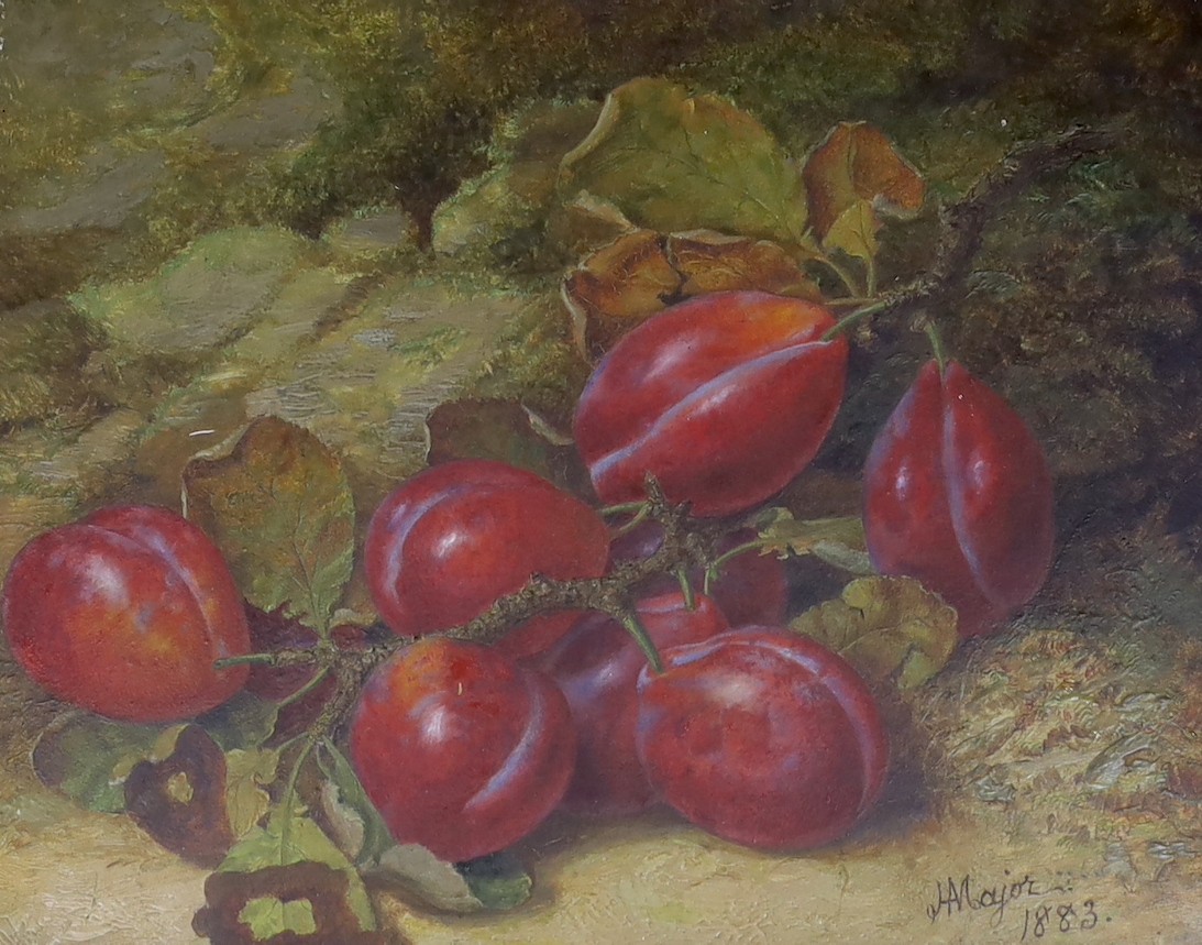 J.H. Major (19th C.), oil on board, Still life of plums, signed and dated 1883, 20 x 24cm